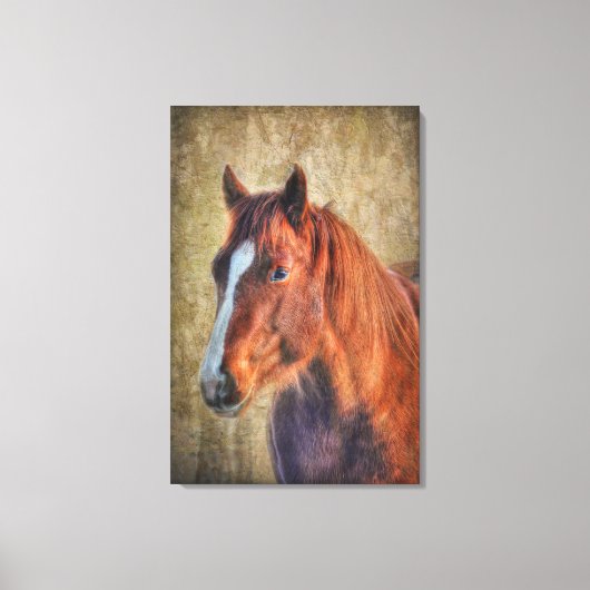 Sorrel Horse Portret op Rustic Grunge-effect Canvas Afdruk (Voorkant)