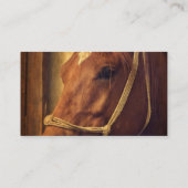 Sorrel in Rope Halter Visitekaartje (Achterkant)