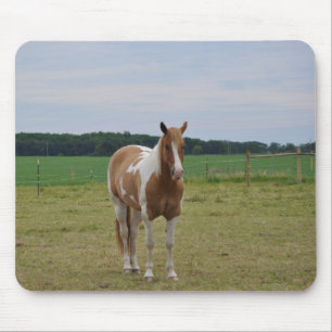 Sorrel Tobiano Paint Horse Muismat
