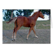 Sorrel Yearling (Devant horizontal)