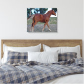 Sorrel Yearling Canvas Afdruk (Insitu (Slaapkamer))