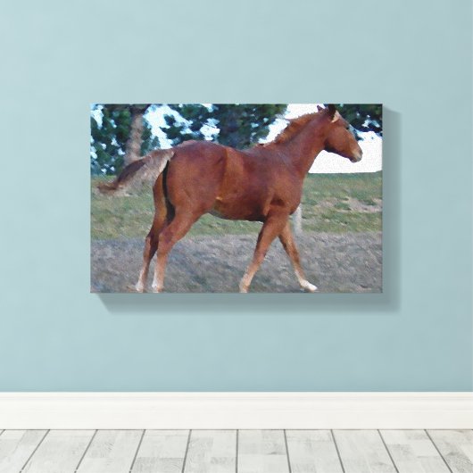 Sorrel Yearling Canvas Afdruk (Insitu (Houten vloer))