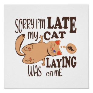 Sorry dat ik laat ben dat mijn kat op me lag perfect poster