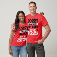 Sorry dat ik niet kan plannen met mijn Perzisch