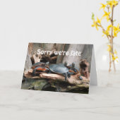 Sorry dat we laat zijn Turtles verjaardag wenskaar Kaart (Gele Bloem)