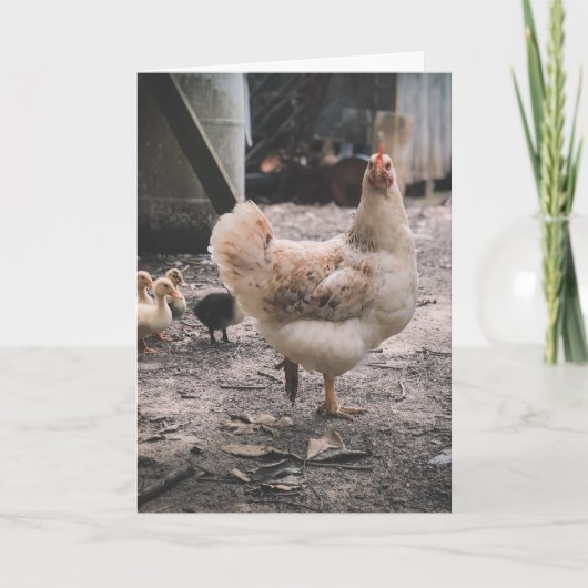 Sorry for being such a chook kaart (Voorkant)