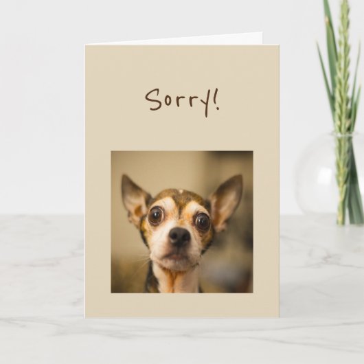 Sorry Fun Chihuahua Dog Kaart (Voorkant)