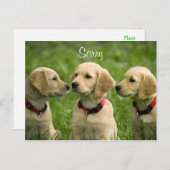 Sorry Golden Retriever Puppy Briefkaart (Voorkant / Achterkant)