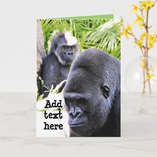 Sorry._ Kaart (Gele Bloem)