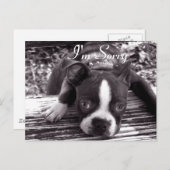 Sorry kaart (Voorkant / Achterkant)