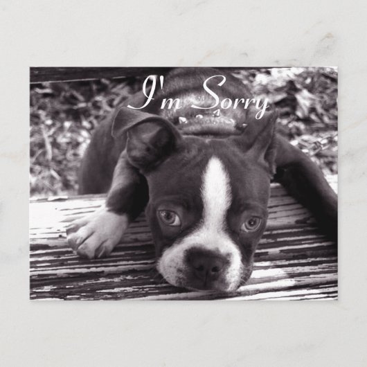 Sorry kaart (Voorkant)