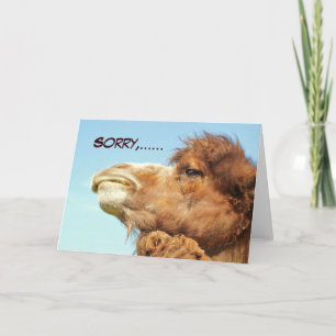 Sorry - Kaart