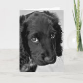 Sorry Kaart (Voorkant)