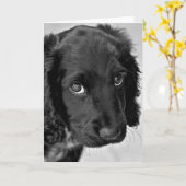 Sorry Kaart (Gele Bloem)