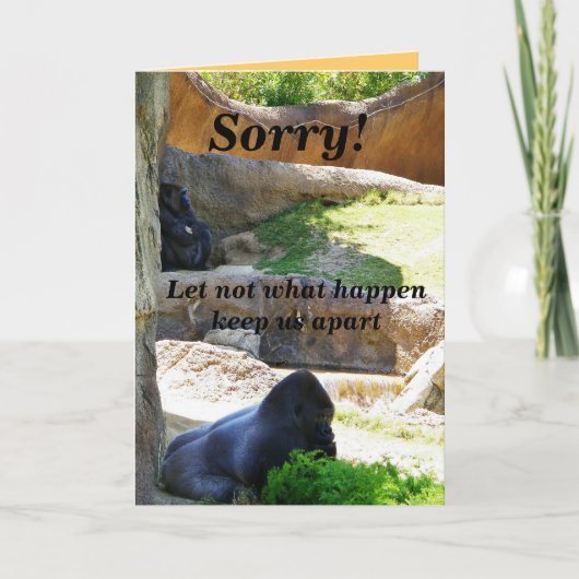 Sorry!_Kaart Kaart (Voorkant)