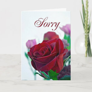 Sorry kaart met een rode roos