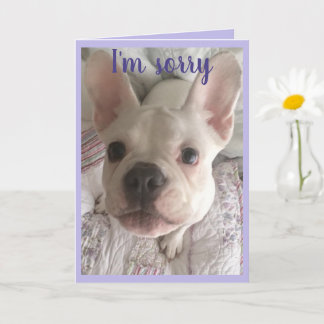 Sorry voor de HANGRY Card French Bulldog Puppy Pas Kaart