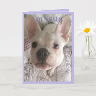 Sorry voor de HANGRY Card French Bulldog Puppy Pas Kaart