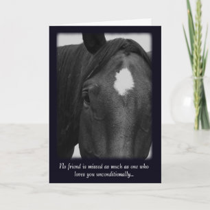 Sorry voor het verlies van uw paardensympathiekaar kaart