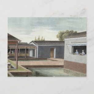 Sorteerthee (m/v op papier) 2 briefkaart