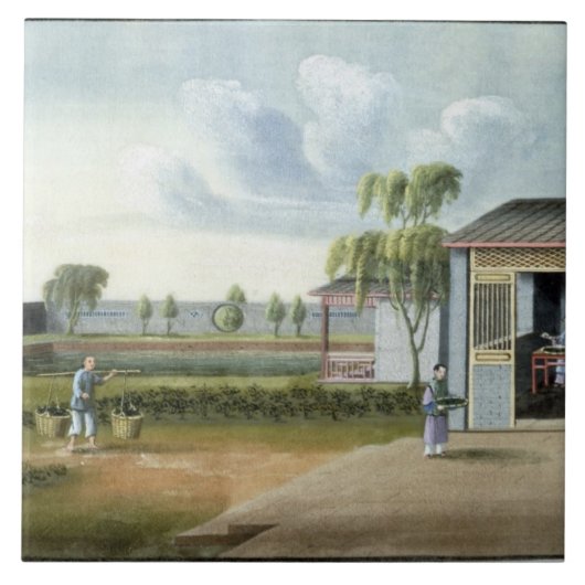 Sorteerthee (m/v op papier) tegeltje (Voorkant)