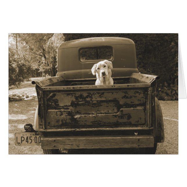 Sortez de Dodge - Photo de chien (Devant horizontal)