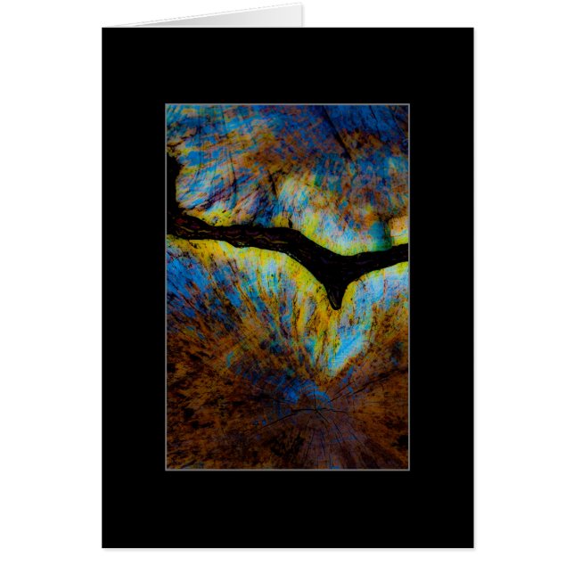 Souche d'arbre Abstrait (Devant)