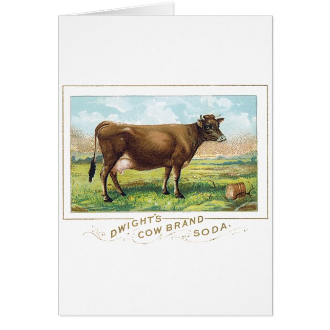 Soude de marque de la vache de Dwight (Devant)