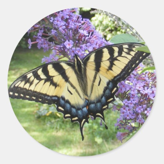 Soufflet 94 ~ autocollant (Devant)