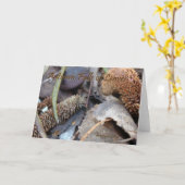 Souhait d'automne - carte (Fleur jaune)