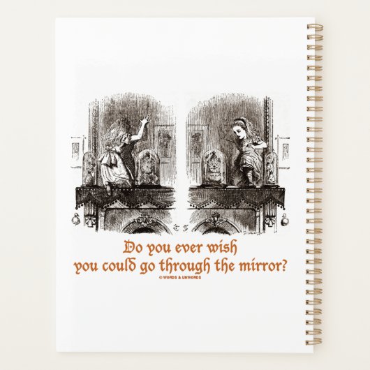 Souhaitez-Vous Jamais Passer Par Le Miroir ? (Dos)