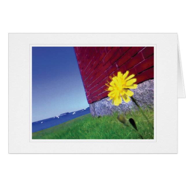 Souhaits de demain (Devant Horizontal)