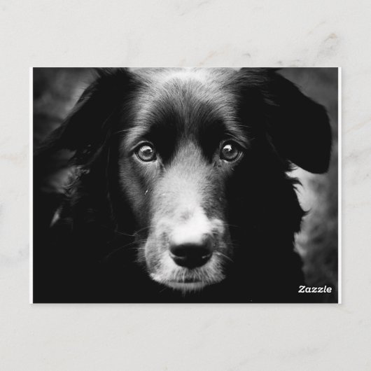 Soul Eyes Briefkaart (Achterkant)