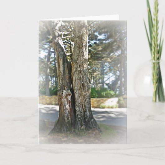 Soul Mates Kaart (Voorkant)