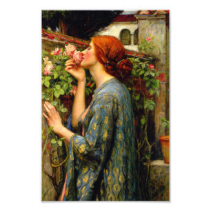 Soul of the Rose John William Waterhouse Foto Afdruk