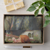 Soul van het Roos Waterhouse Schilderij Tissuepapier (Geschenk)