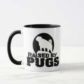 SOULEVÉ DE CARLINS MUGS ! (Gauche)