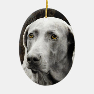 Soulful Eyes of the Weimaraner Keramisch Ornament
