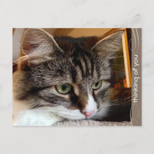 Soulful Siberische Denken van U Briefkaart