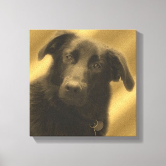 Soulful Wise Dog Eyes Animal Canvas Afdruk (Voorkant)