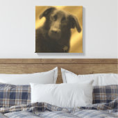 Soulful Wise Dog Eyes Animal Canvas Afdruk (Insitu (Slaapkamer))