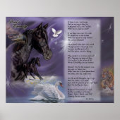 Soul's eeuwigheid poster (Voorkant)