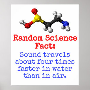 Sound Travels ongeveer vier keer sneller - Science Poster