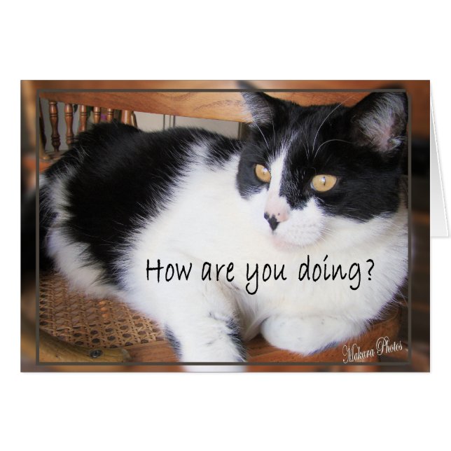 Souple Carte-vous décidez (Devant horizontal)