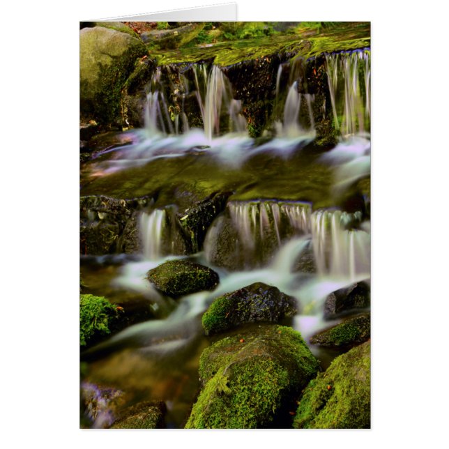 Source aux fougères, parc national de Yosemite, Ca (Devant)