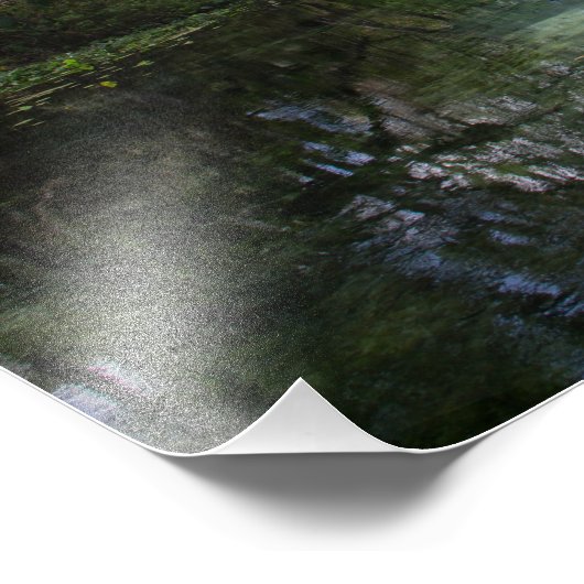 Source naturelle photo (Coin)