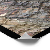 Sources chaudes, Calques de roches AR Impression d (Coin)