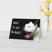 Souriez c'est votre anniversaire White Boxer carte (Fleur jaune)