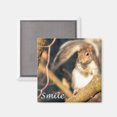 Souriez M. Squirrel Magnet (Recto/Verso)