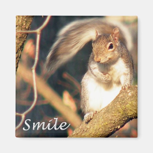 Souriez M. Squirrel Magnet (Devant)